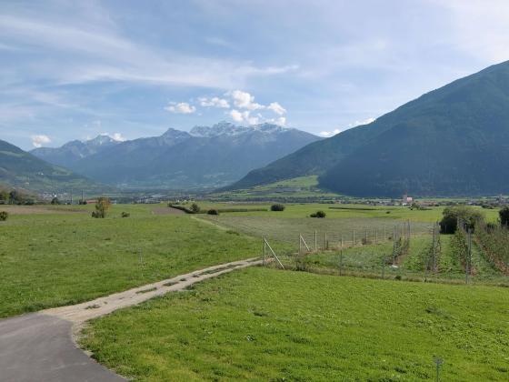 Wiese oberhalb von Mals zu verkaufen Wiese oberhalb von Mals zu verkaufen
