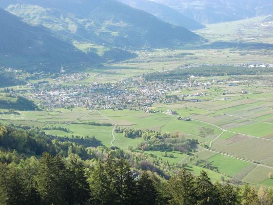 Wiese zwischen Agums und Industriezone Prad Wiese zwischen Agums und Industriezone Prad
