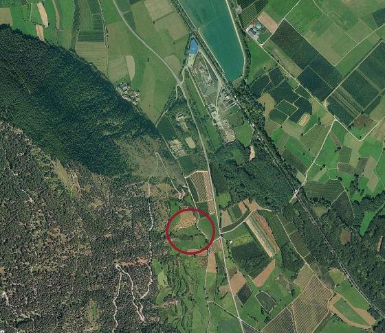 Lichtenberg: Wiese mit 9.000 m² zu verkaufen Lichtenberg: Wiese mit 9.000 m² zu verkaufen