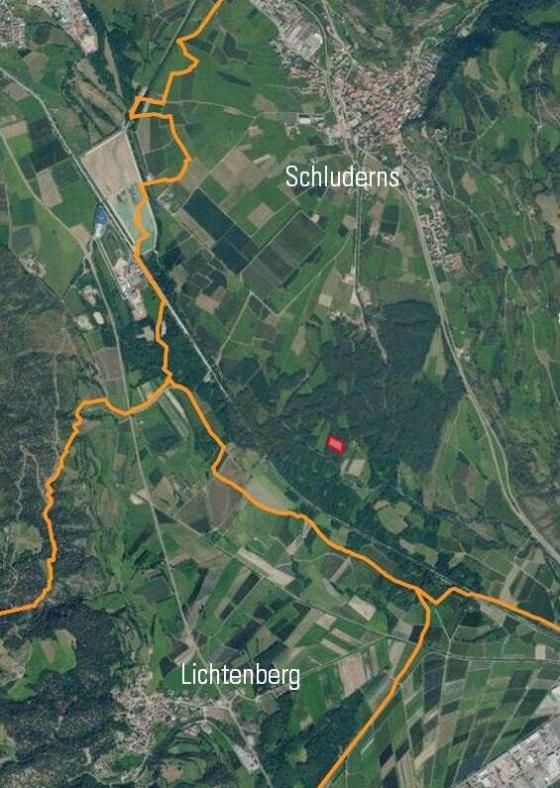 Schluderns: Auwald mit ca. 3.700 m² zu verkaufen Schluderns: Auwald mit ca. 3.700 m² zu verkaufen